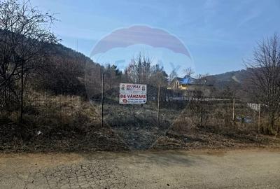 Teren Construcții intravilan de 1000 mp, în Calea Romanului - 1