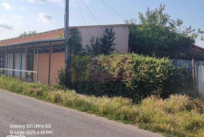 Casă cu 10 camere cu Teren 6000 Mp în Bulbucata - 10