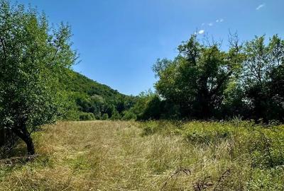 Teren de 2900 mp, în Zam - 2