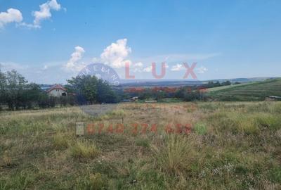 ID 7690 Teren intravilan - Sat Mineri - 4