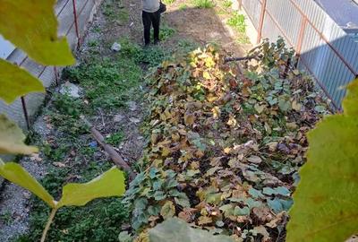 Casă cu Teren 200 Mp în Central - 1
