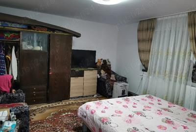 Casă cu 3 camere cu Teren 4400 Mp în Hobița - 4