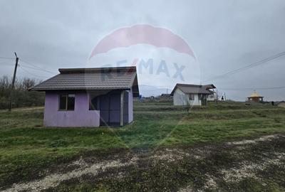 Teren extravilan de 129700 mp, în Iepurești - 12