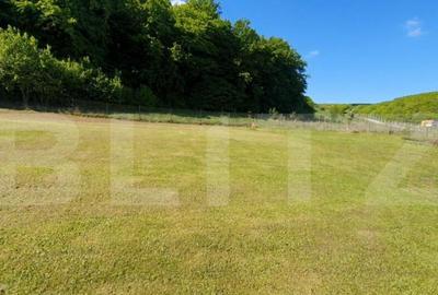 Teren intravilan Popesti 867 mp, langa padure - 2