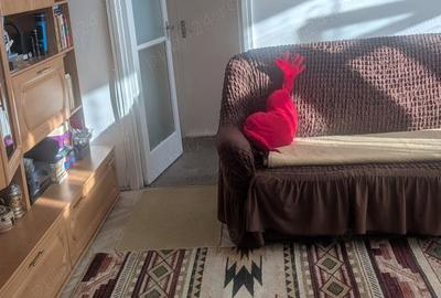 Apartament cu 2 camere semidecomandat în Sud - 2