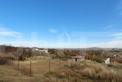 Teren cu o panorama spectaculoasa, 1 hectar, Podgoria - 2