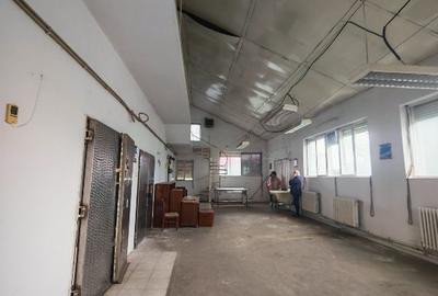 Spațiu industrial, 428 mp în Bărăbanț - 13