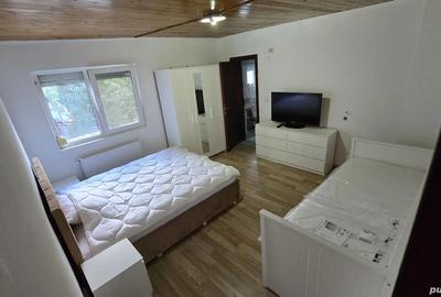 Pensiune cu 2 apartamente independente (total 8 camere) in Poiana Tapului - 4