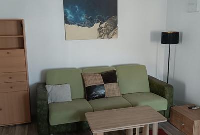 Apartament cu 2 camere semidecomandat în Sârbi - 2