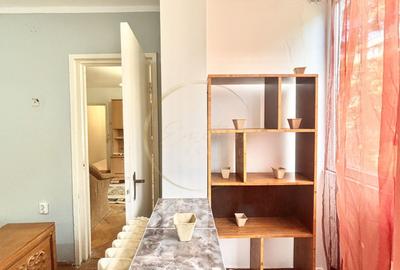 Apartament cu 2 camere nedecomandat, mobilat în Iosefin - 8