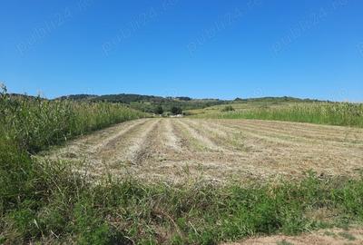 Teren de 2500 mp, în Berzasca - 16