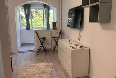 Colentina teiul doamnei metrou obor - 10