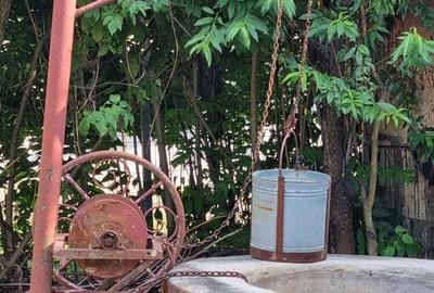 Casa de vanzare Poganu Olt - 4