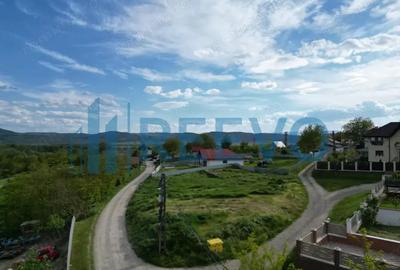 Teren de vanzare, Com. Racova, Str. Le?cana, Bacau - 9