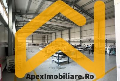 Spațiu comercial, de 550 mp, în Malu Roșu - 9