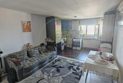 Apartament cu 3 camere, mobilat în Lăpuș Argeș