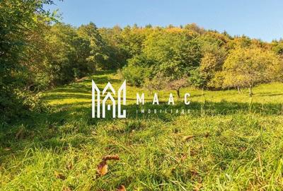 Teren agricol intravilan de 2439 mp, în Fântânele - 1