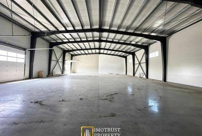 Hala industriala de inchiriat 350700 mp, configurabila - 6