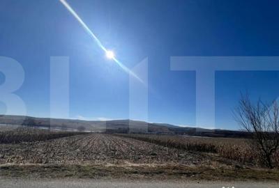 Teren în Pădureni (Ciurila) - 2