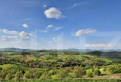 Teren intravilan de vanzare, 2962 mp, zona Sulighete, Deva - 7