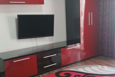 Apartament cu 2 camere semidecomandat în Craiovița Nouă - 2