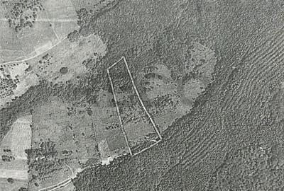 Teren de 17167 mp, în Girișu de Criș - 2