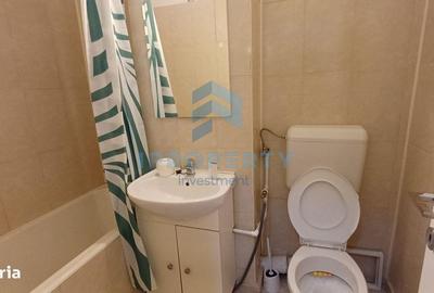 Apartament cu 2 camere, mobilat în Camil Ressu - 15