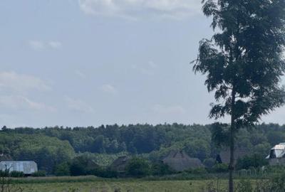 Teren generos, intravilan, 13.518 mp, Marginea - 1