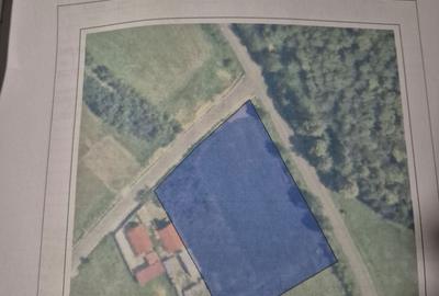 Spațiu comercial, în Cărăndeni - 1