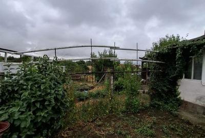 Spațiu comercial, în Giarmata - 5