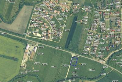 Teren Construcții intravilan de 2385 mp, în Moșnița Nouă - 5