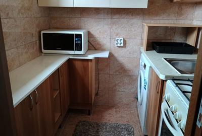 Apartament cu 2 camere în Valea Rosie - 2