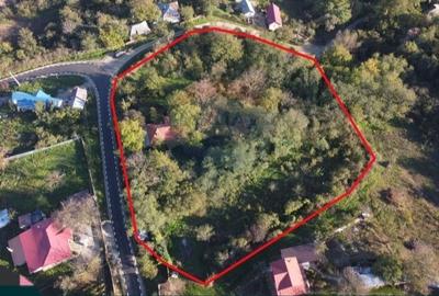Casă cu mult teren,  sat Șerbănești, com. Corbița, jud. Vrancea - 3