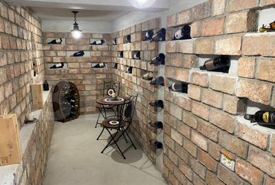 Cabana deosebita in Campenesti - un refugiu modern cu privel - 15