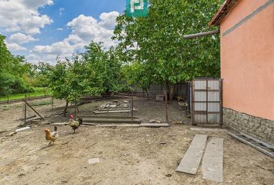 Casă cu 3 camere cu Teren 551 Mp în Turnu - 8
