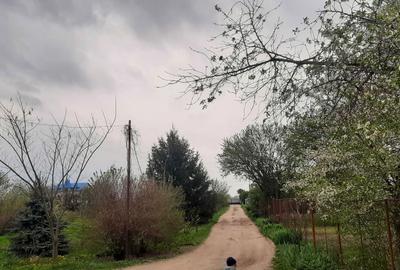 Spațiu comercial, de 200 mp, în Central - 6