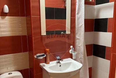 Apartament cu 2 camere de inchiriat in zona Darmanesti - 7