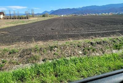 50.000mp teren intravilan, Clasa Master,  in Brasov spre Stupini - 4