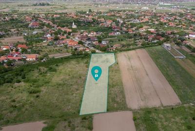 Teren de 5000 mp, în Urseni - 3