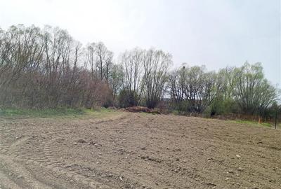 1.700mp intravilan,acces usor,intre case,ideal 2 locuinte/investitie,Lunca Calni - 13