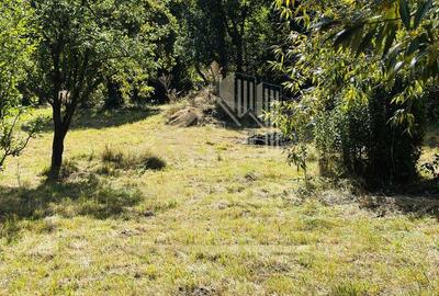 TEREN INTRAVILAN 3234 MP LERE?TI VOINE?TI ARGE? - 2