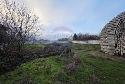 Teren Construcții intravilan de 1900 mp, în Giulești - 4