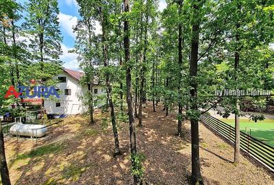Casă de vacanță în pădure, 10 km de Pitești - Babana - 20