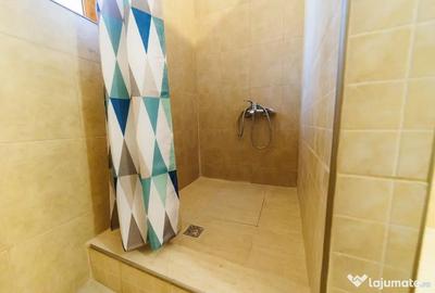 Casă cu 2 camere cu Teren 1215 Mp în Turcheș - 2