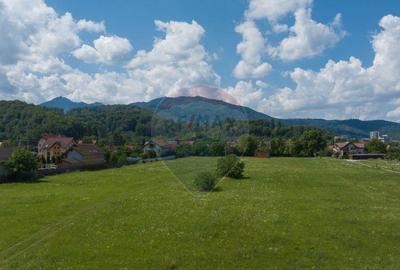 Lot de casa intrare Sacele -Strada Iernii, 1022mp