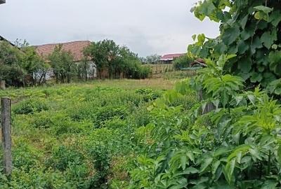 Vand casa la tara - 8