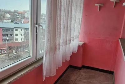 Apartament cu 3 camere decomandat în Valea Rosie - 8