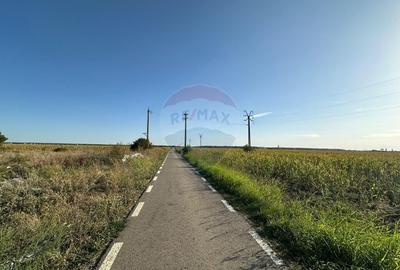 Teren extravilan de vanzare - 19.963 mp, E68 Mandruloc-Vladimirescu - 2