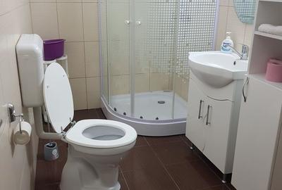 Casă cu 2 camere în Luduș - 2