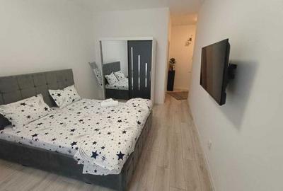 Garsonieră decomandată în Chiajna - 1